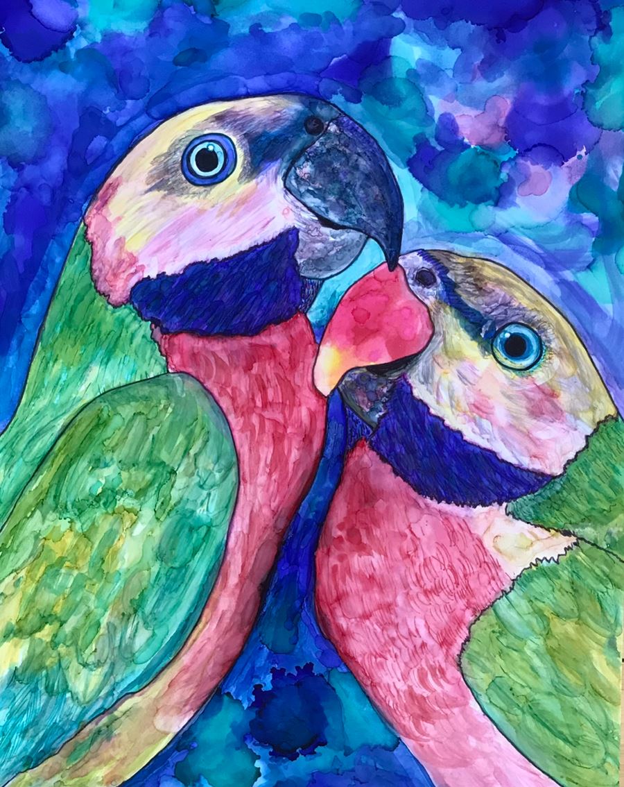Animal Subjects