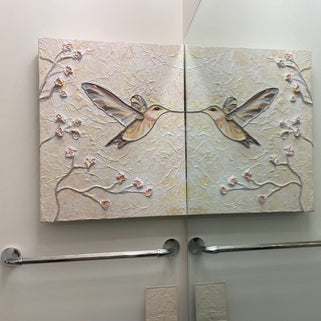 Hummingbird(s)