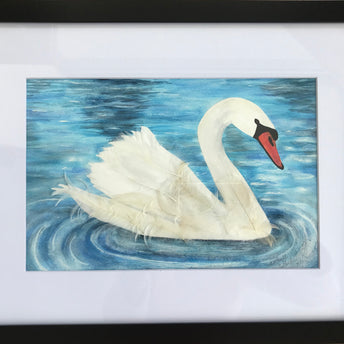 Swan Beauty