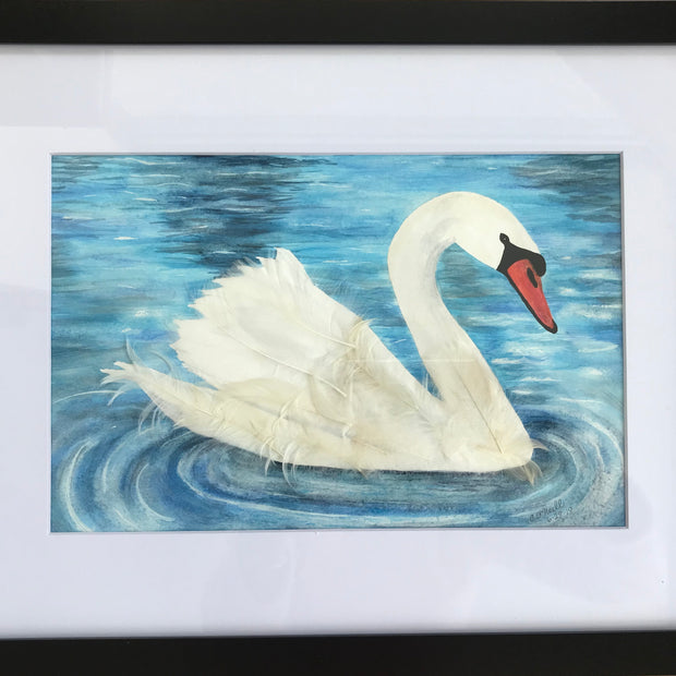 Swan Beauty