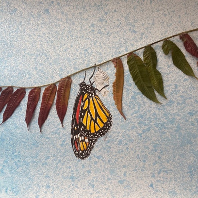 Monarch