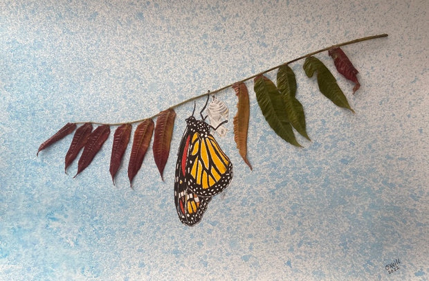 Monarch