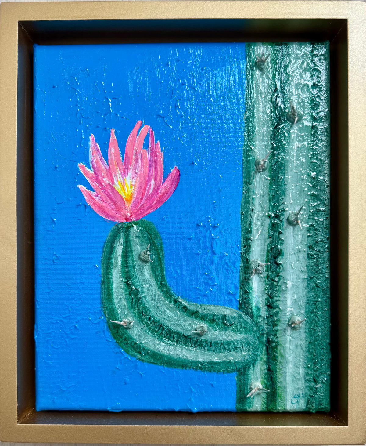 Cactus Bloom