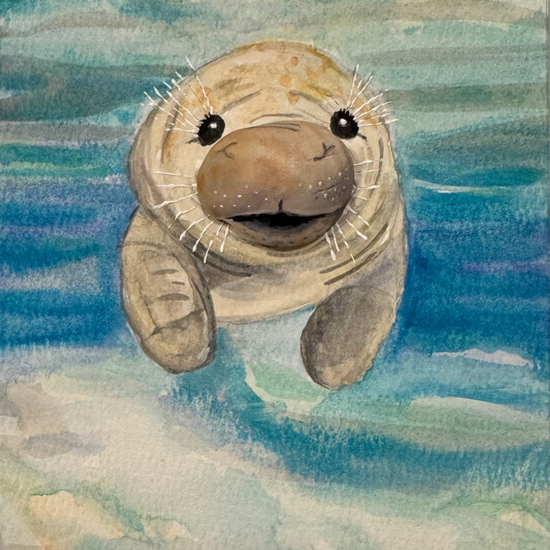Manatee
