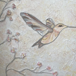 Hummingbird(s)
